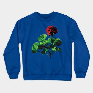 Backlit Red Geranium Crewneck Sweatshirt